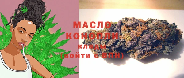 apvp Пестово