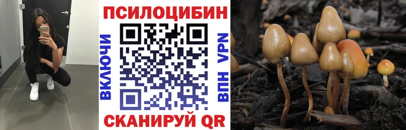 как найти наркотики  Балахна  МЕГА как войти  Галлюциногенные грибы ЛСД 