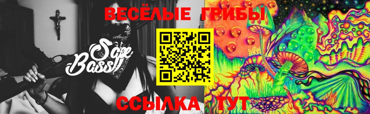 Псилоцибиновые грибы мухоморы  купить наркоту  Балахна  Вход с VPN 