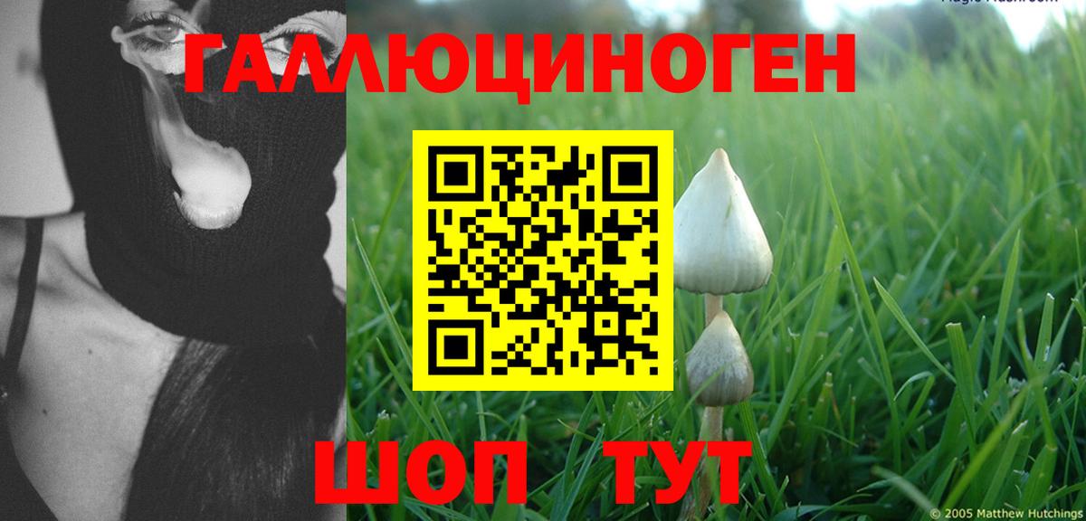 сколько стоит  Балахна  Галлюциногенные грибы мухоморы  Галлюциногенные грибы MAGIC MUSHROOMS 